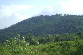IHAH invita al público a la apertura de los trabajos de investigación arqueológica en el Sitio Cerro Palenque